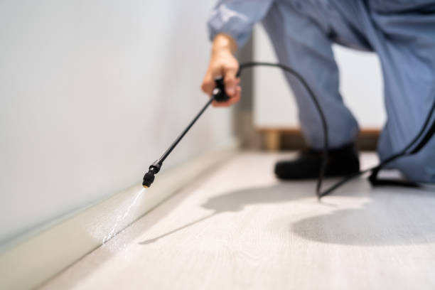 Licensed Fumigation Services service in Bourbon County County, KY - Nex Pest Control